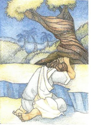 Stations of the cross