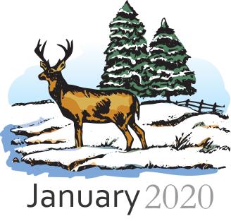 deer_18200c